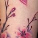 Tattoos - Cherry Blossom Tree - 37053